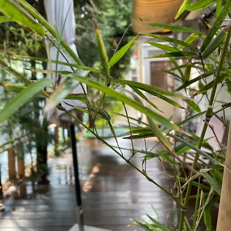 The House * 康斯坦察