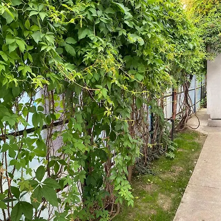 度假居 The House *